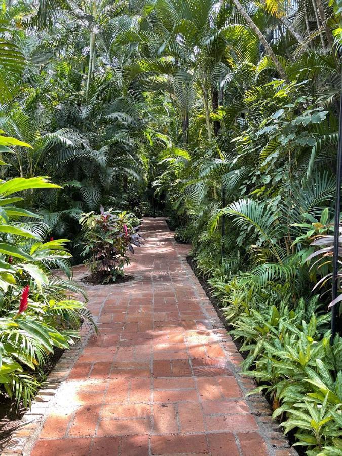 The Best Of Marbella Puerto Vallarta Ngoại thất bức ảnh