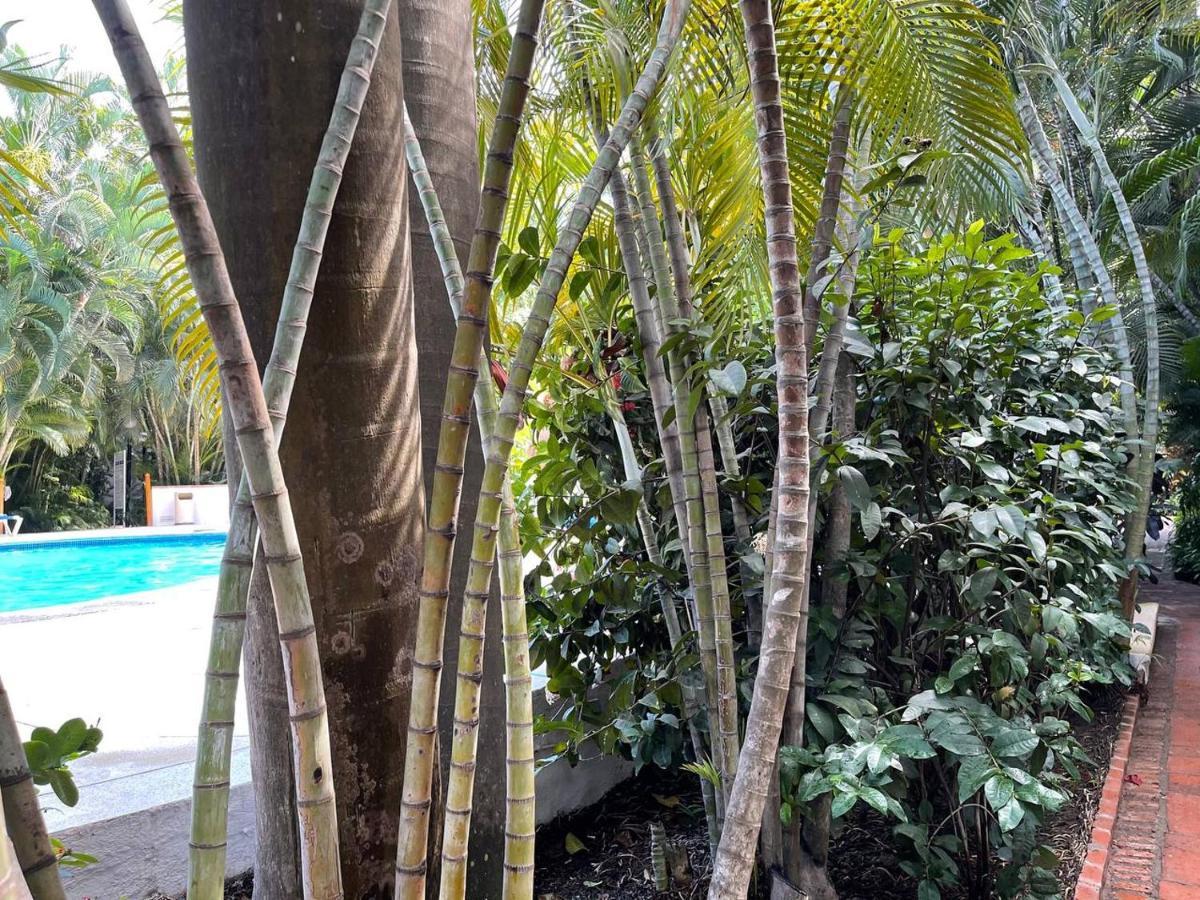 The Best Of Marbella Puerto Vallarta Ngoại thất bức ảnh